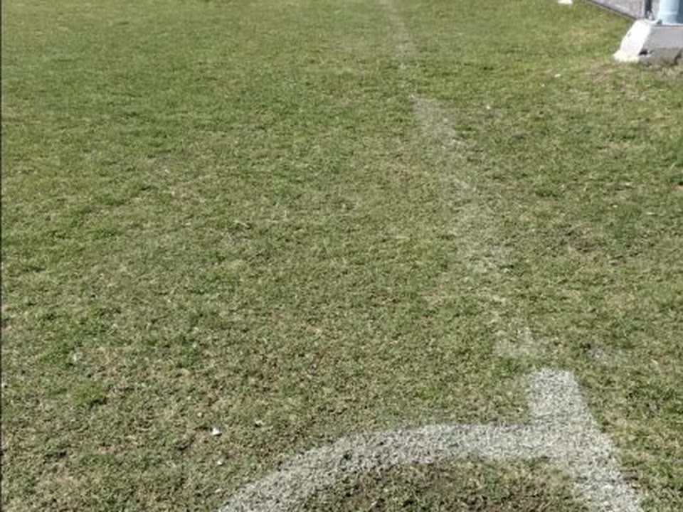 La misma cancha con el césped recuperado y verde después del tratamiento
