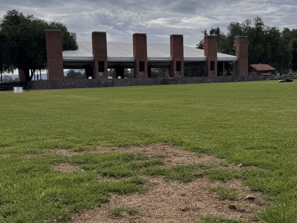 Campo de polo con zonas secas y sin pasto antes del tratamiento