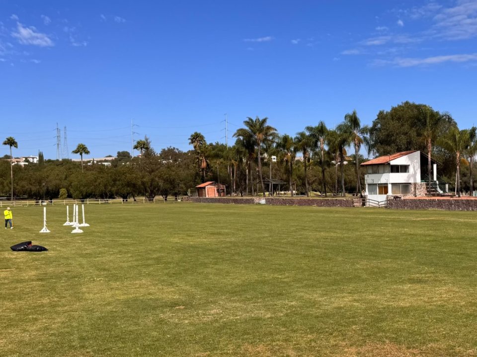 Campo ecuestre con el césped seco y amarillento antes del tratamiento